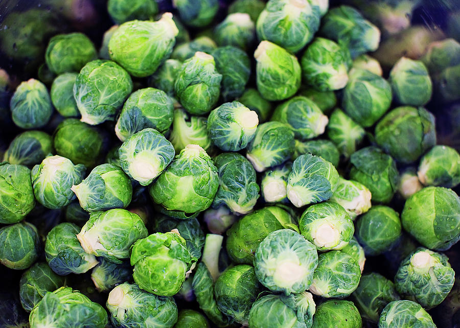 Bright Green Fresh Brussels Sprouts Photograph by Mimi  Haddon