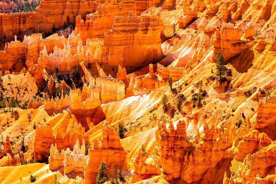 National Parks Photograph - Bright Hoodoos Landscape In Bryce Canyon National Park Utah Usa by Dieter Walther