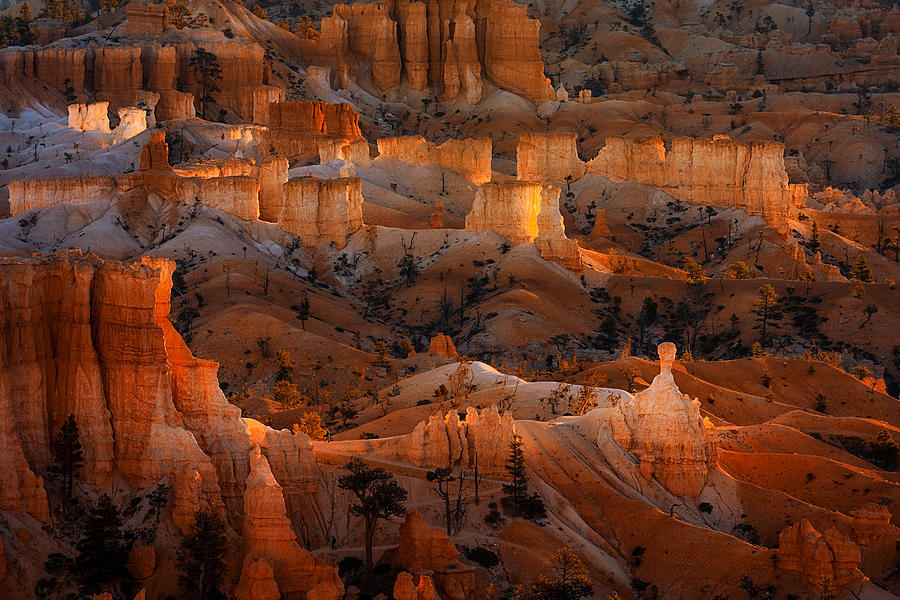 Landscape Photograph - Bright Hoodoos by Lydia Jacobs
