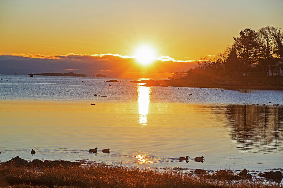 Bright Juniper Cove Sunrise Salem MA Ducks Photograph by Toby McGuire