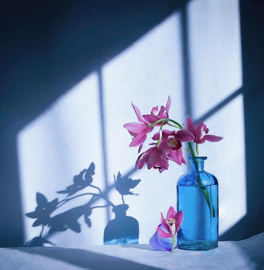 Orchid Photograph - Bright Morning by Fangping Zhou