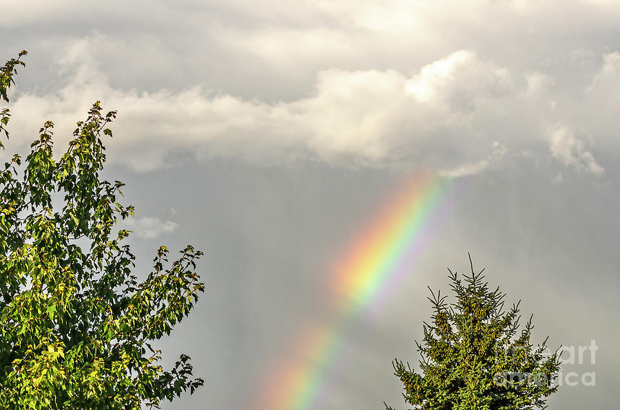 Bright Rainbow Disappearing in the Clouds by Sue Smith Bright Rainbow Disappearing in the Clouds by Sue Smith