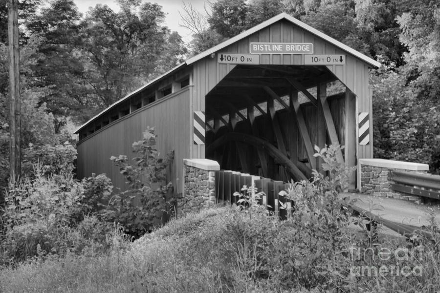 Bright Red Flickingers Covered Bridge Black And White Photograph by Adam Jewell