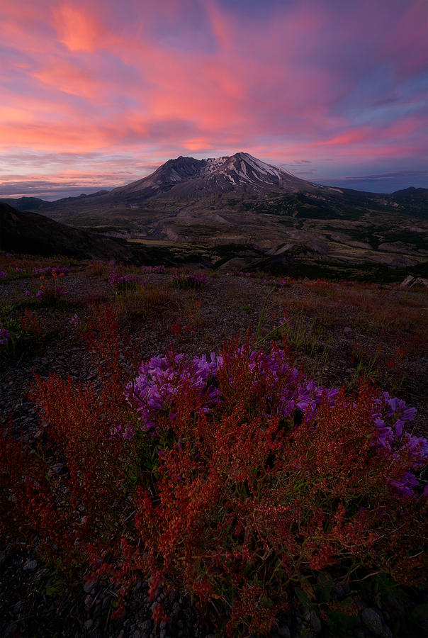 Bright Sunrise At Mt. St Helens Photograph by Lydia Jacobs