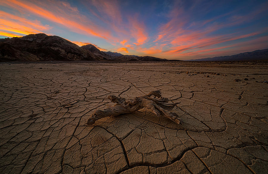 Bright Sunrise Over Cracked Land Photograph by Lydia Jacobs