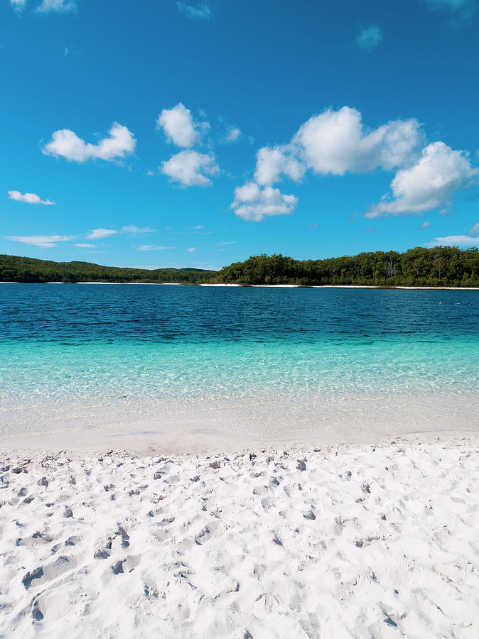 Bright White Sand Of Lake Mckenzie Photograph by Holgs