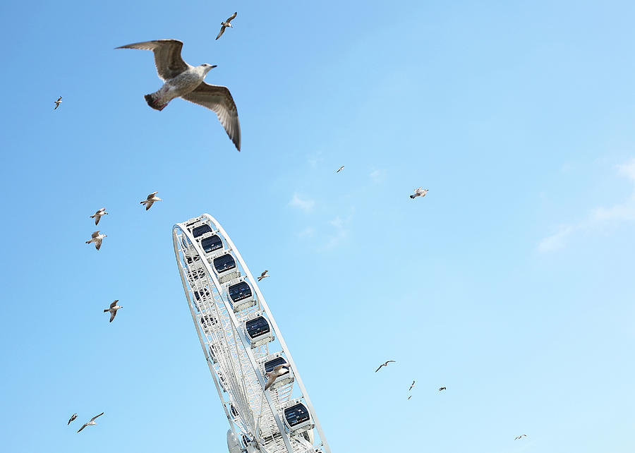 Brighton Wheel With Gulls Flying Photograph by Sharon Cooper