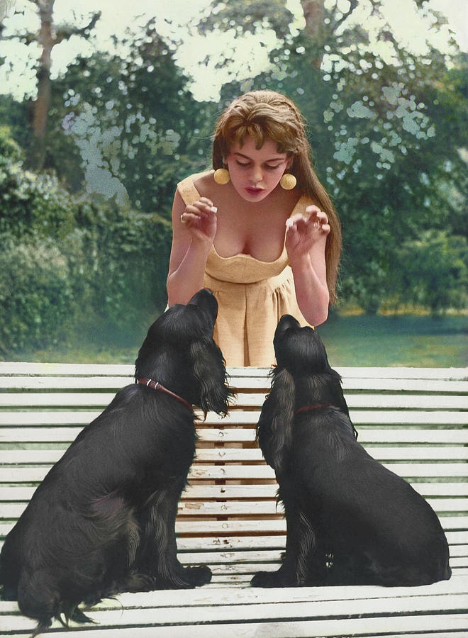 Animal Photograph - Brigitte Bardot And Her Dogs by Globe Photos