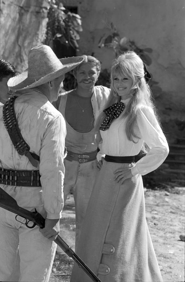 Brigitte Bardot Laughing Photograph by Don Ornitz - Fine Art America