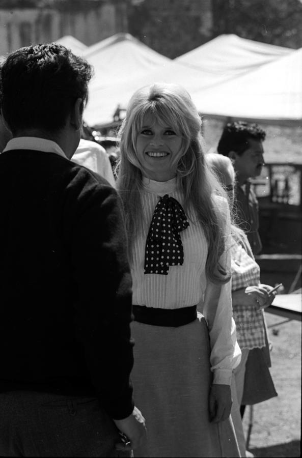 Brigitte Bardot Laughing Talking Photograph By Don Ornitz Fine Art America