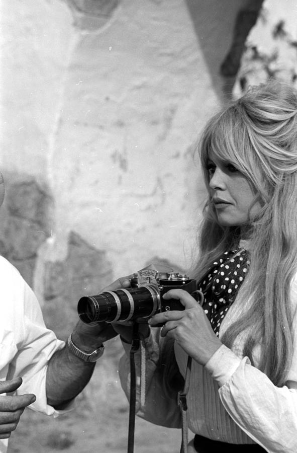 Brigitte Bardot Looking Forward Photograph By Don Ornitz Fine Art America