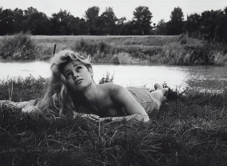 Black And White Photograph - Brigitte Bardot Lying In Grass by Globe Photos