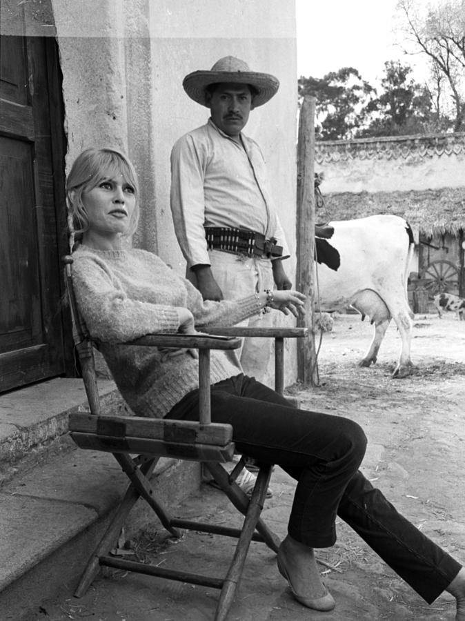Brigitte Bardot Talking And Relaxing Photograph By Don Ornitz Fine Art America