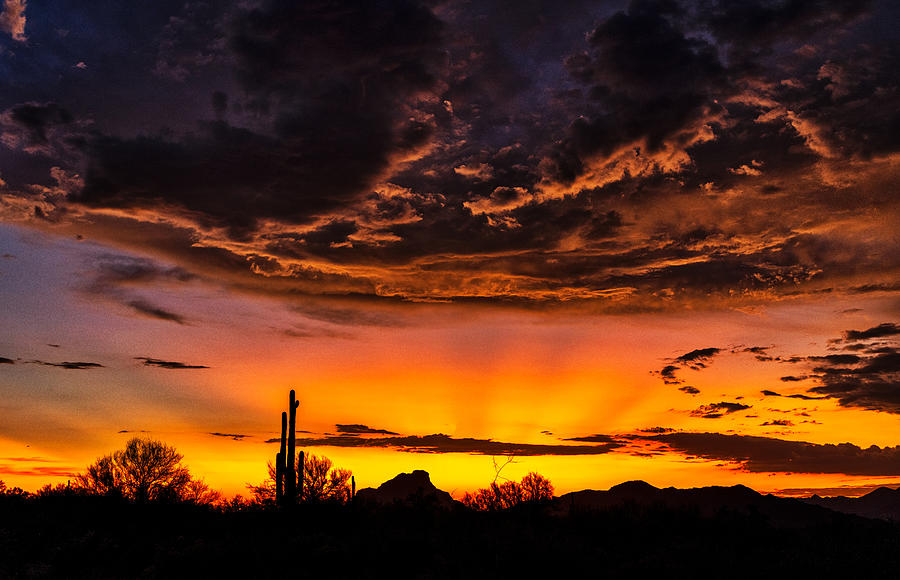 Brilliant Desert Skies At Sunset  Photograph by Saija Lehtonen
