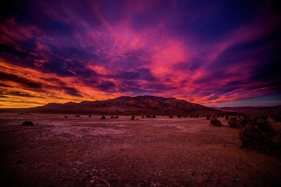 Brilliant Desert Sunset Photograph By Dixon Pictures