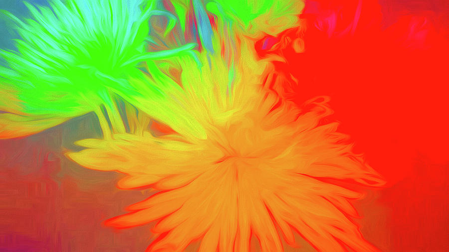 Brilliant Flowers in Abstract  Digital Art by Cathy Anderson