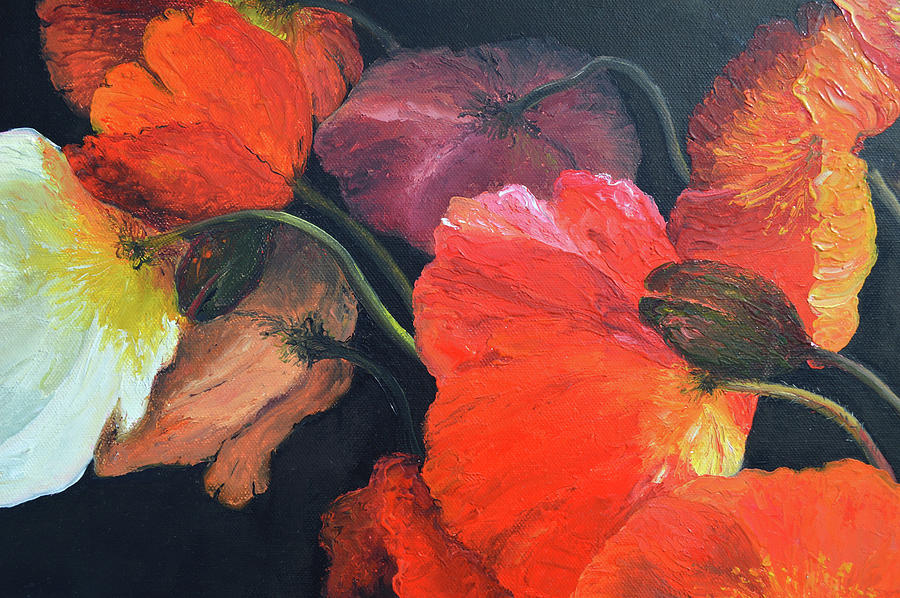 Poppy Painting - Brilliant poppies on a black background by Jan Matson