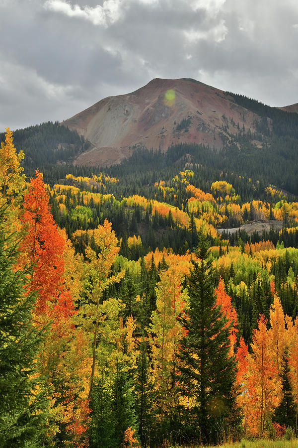 Brilliantly Colored Aspens at Red Mountain Pass Photograph by Ray Mathis