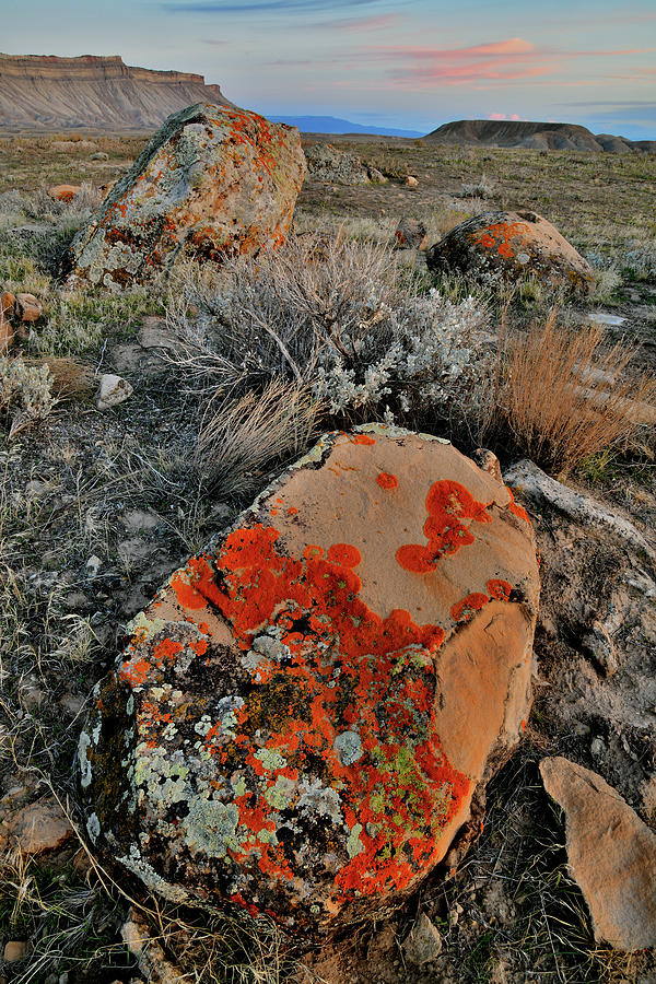 Brilliantly Colored Lichen Covered Boulders at Sunset Photograph by Ray Mathis