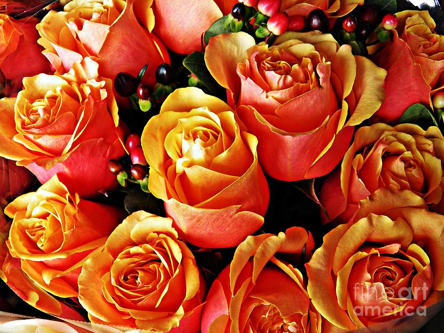 Rose Photograph - Bring Me Roses by Sarah Loft