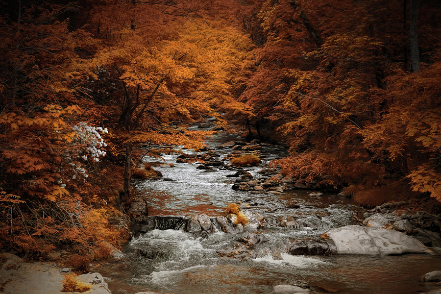 Brisk Autumn Stream Photograph by Jai Johnson