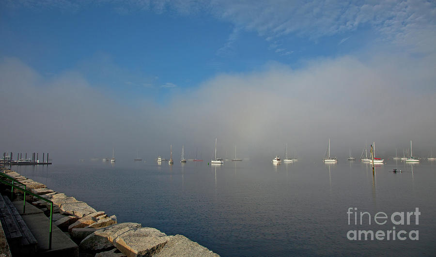 Bristol Harbor Fog 4 Photograph by Butch Lombardi