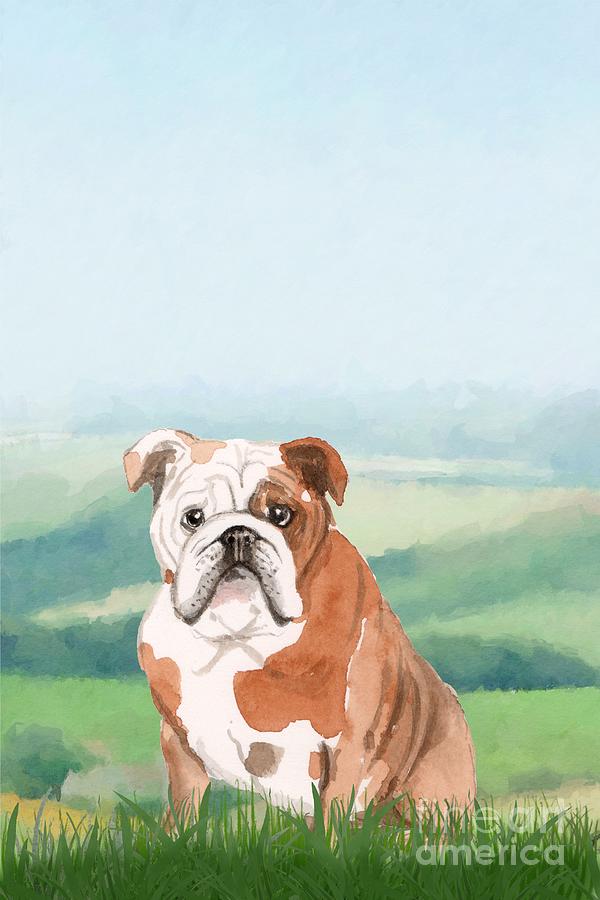 British Bulldog Painting by John Edwards