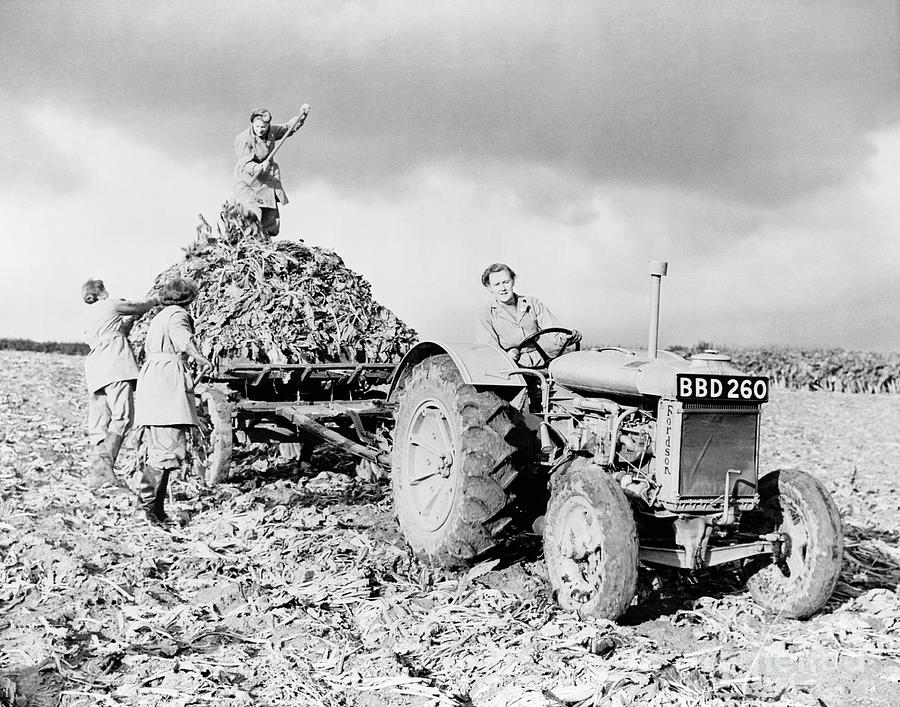 British Women Farming In Wwii Photograph by Library Of Congress/science Photo Library