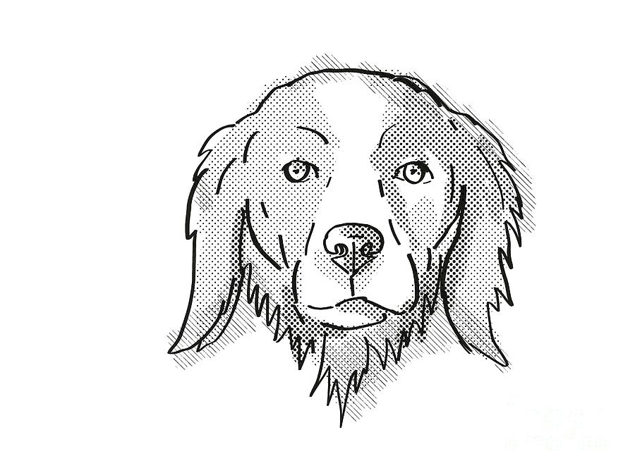 Brittany Or Brittany Spaniel Dog Breed Cartoon Retro Drawing Digital Art