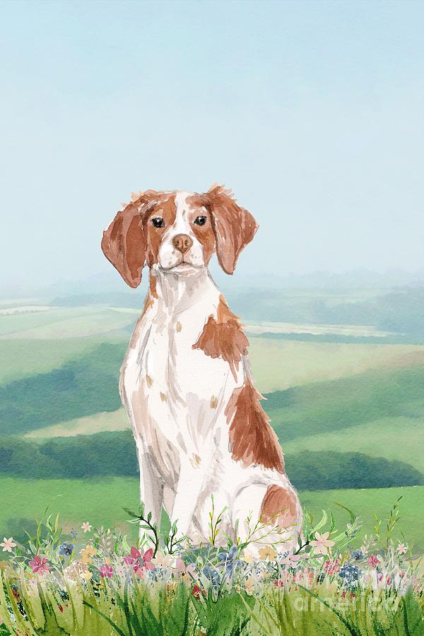 Brittany Spaniel Painting by John Edwards