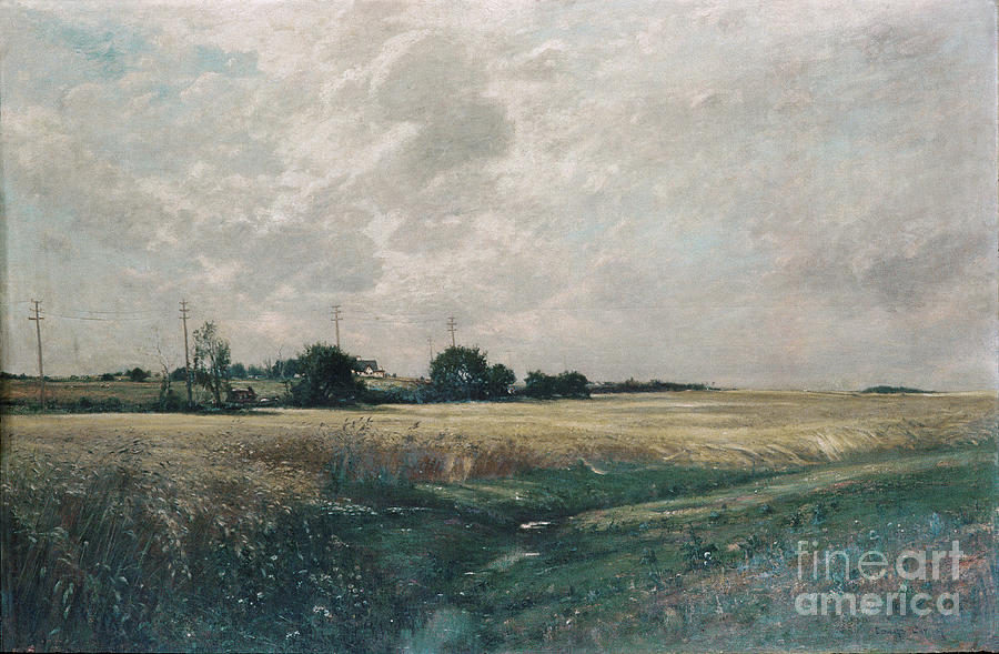 Broad Acres Drawing by Heritage Images