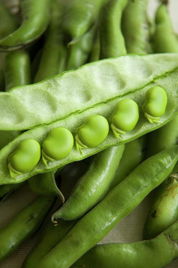 Broad Beans In An Open Pod Photograph by Joy Skipper Foodstyling