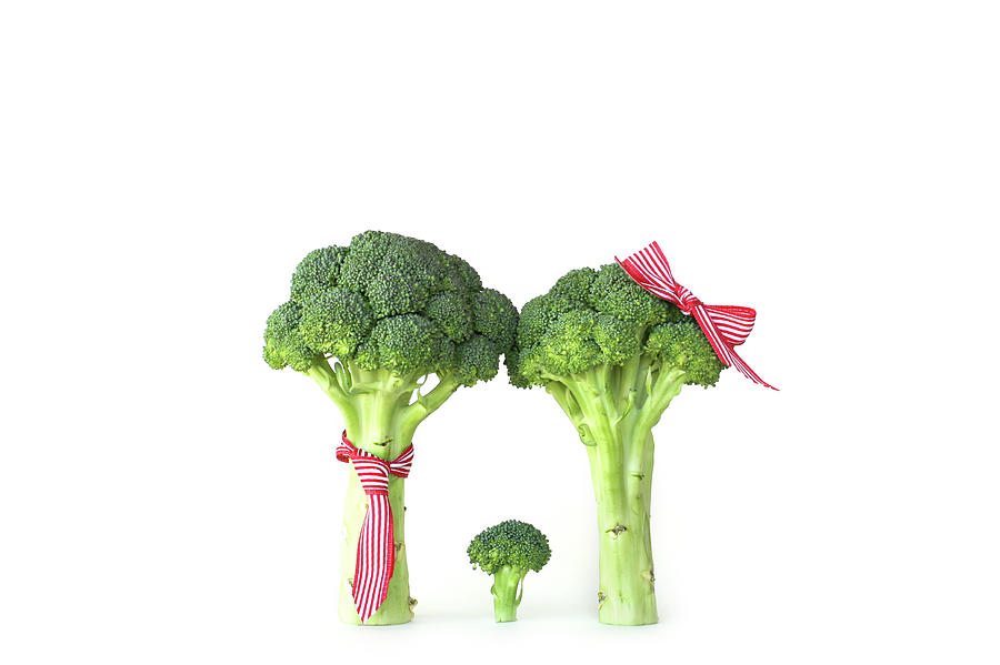 Broccoli Dad, Mom And Baby Photograph by Stephanie Mull Photography