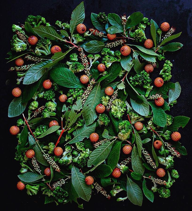 Broccoli Florets by Sarah Phillips Broccoli Florets by Sarah Phillips