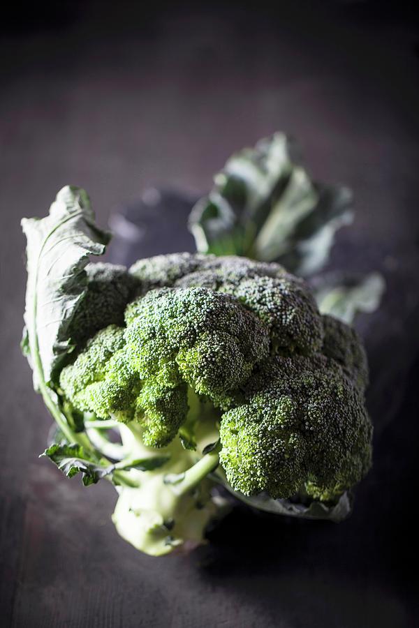 Broccoli. Photograph by Malgorzata Stepien - Fine Art America