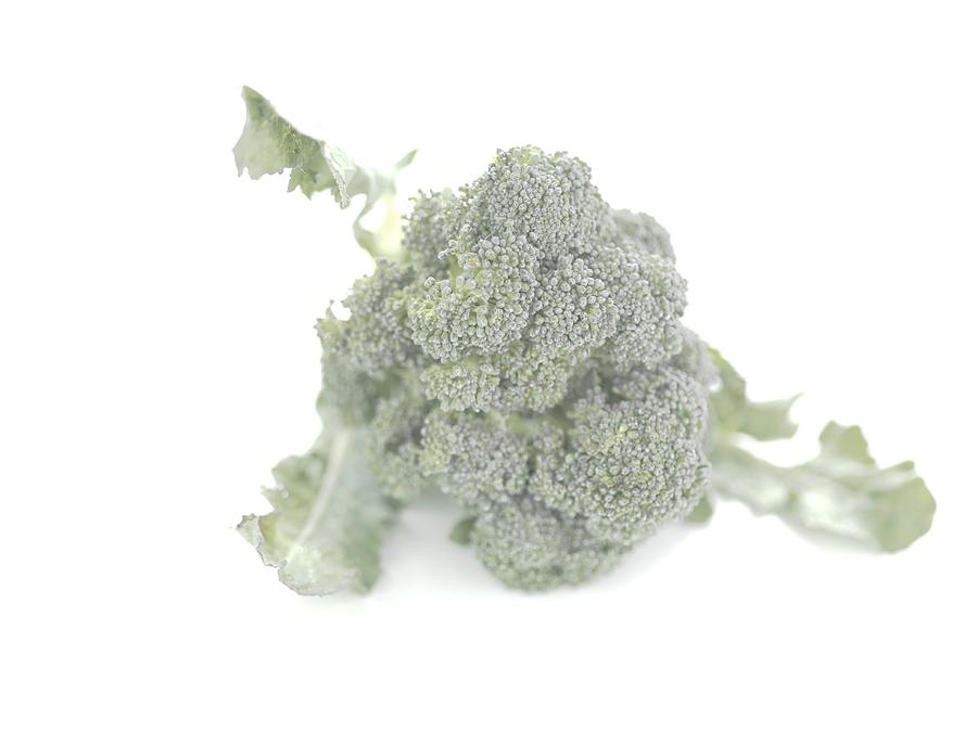 Broccoli On A White Background Photograph by Cabanes-valle