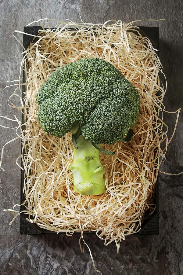 Broccoli On Straw seen From Above Photograph by Naltik