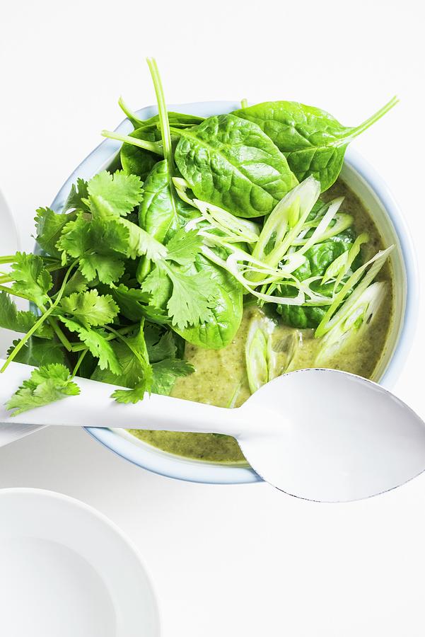 Broccoli Soup With Spinach And Coriander thailand Photograph by Hein Van Tonder