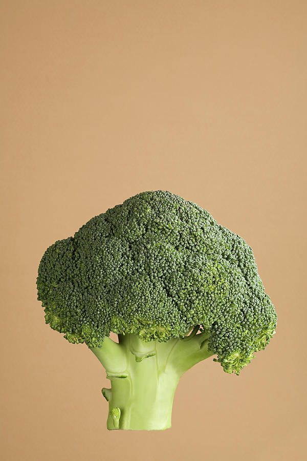 Still Life Digital Art - Broccoli by Sverre Haugland