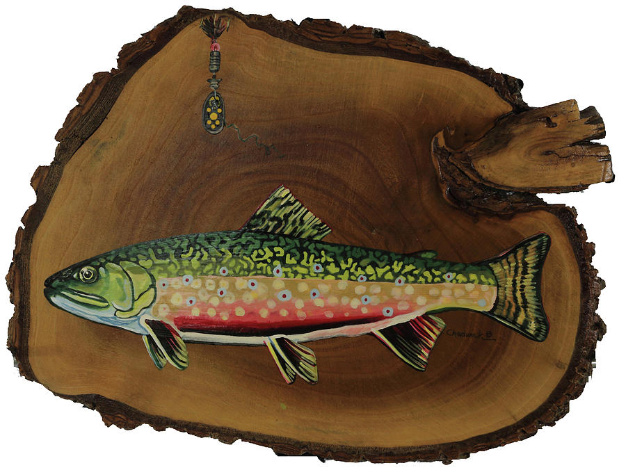 Broke Trout Painting by Phil Chadwick