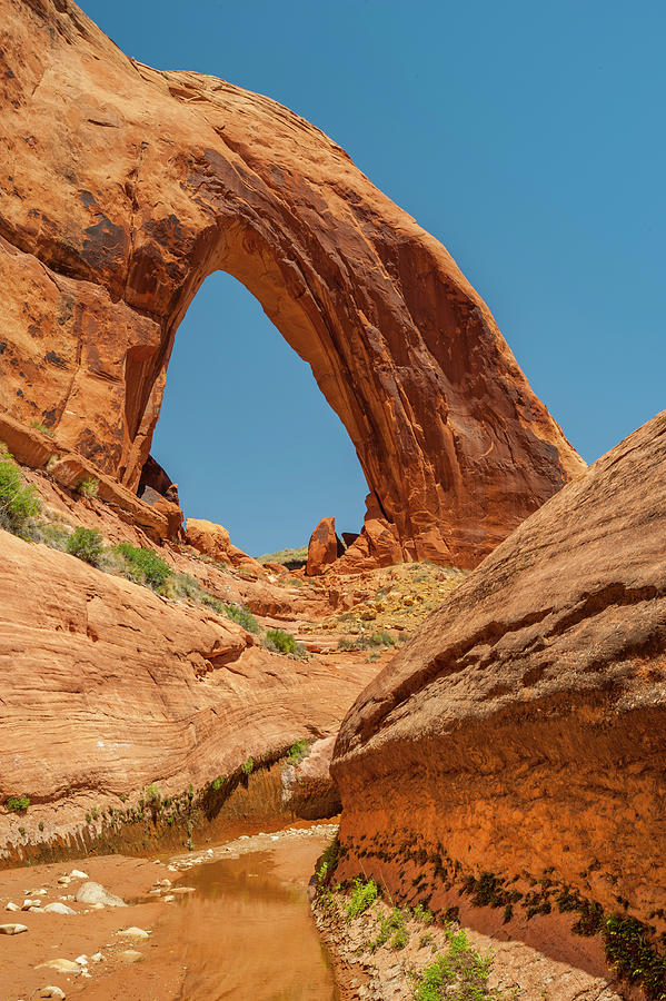 Broken Bow Arch In Utah Photograph by Jeff Foott
