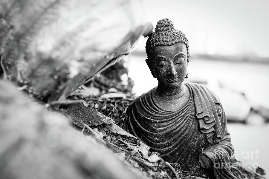 Broken Buddha 10 Photograph by Dean Harte