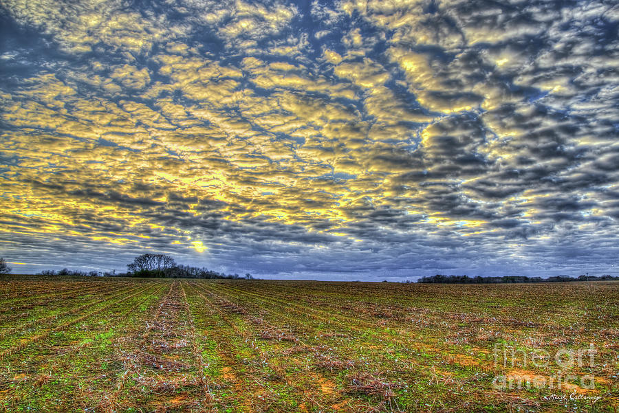 Broken Clouds And Chopped Cotton Georgia Agriculture Farming Art Photograph by Reid Callaway
