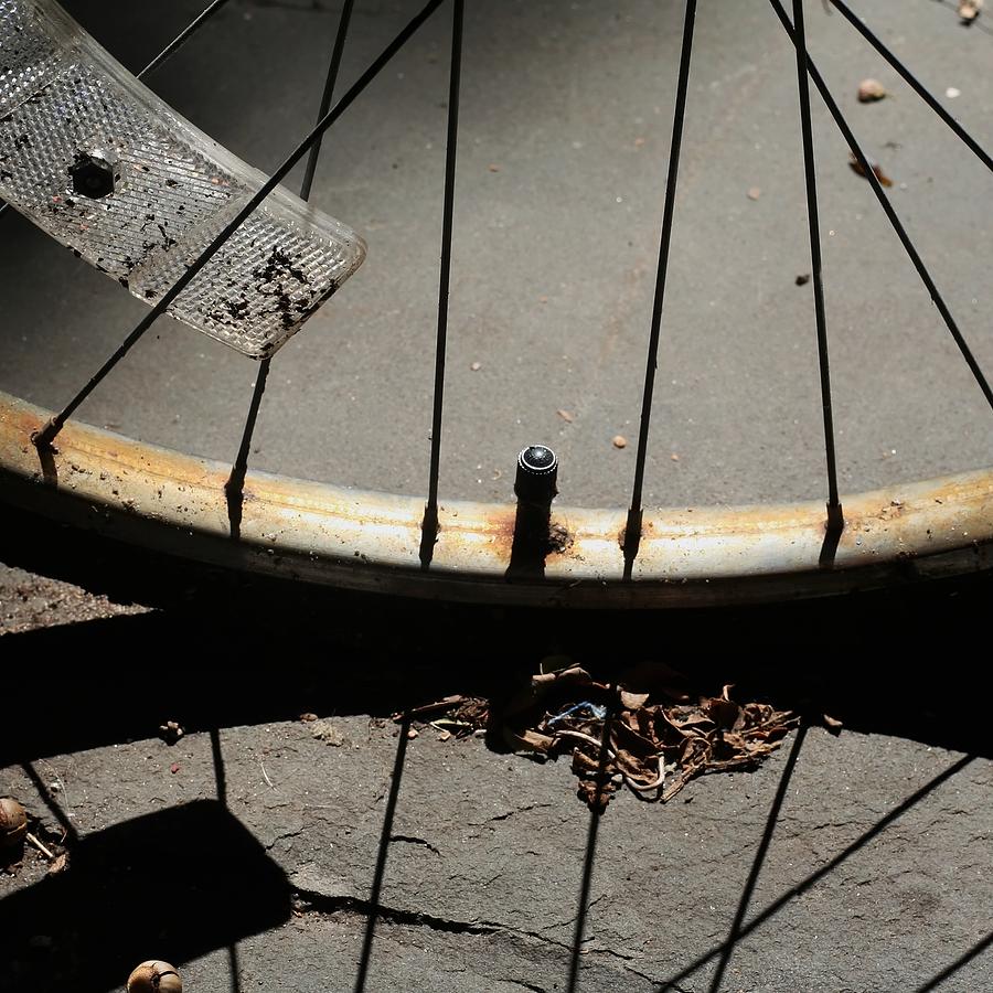 Broken-down Bicycle Wheel Photograph by Linus Gelber / Alert The Medium