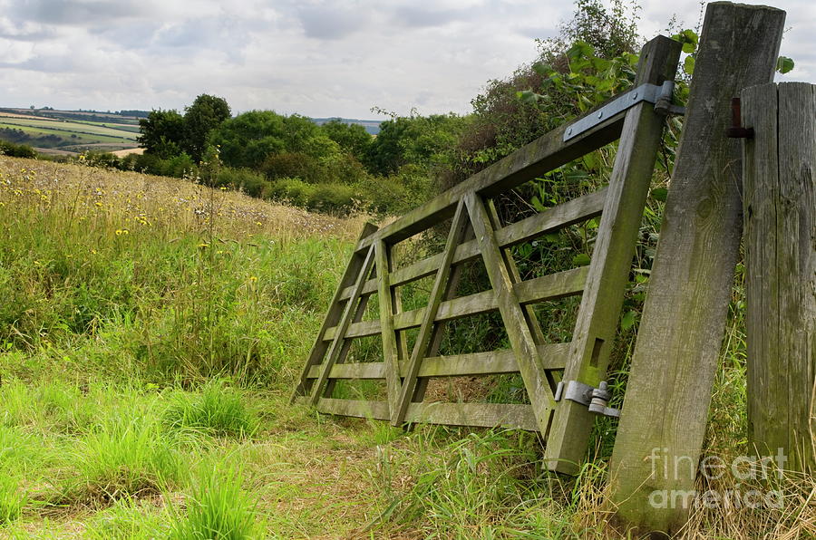 Broken Field Gate Photograph by Richard Pinder - Fine Art America