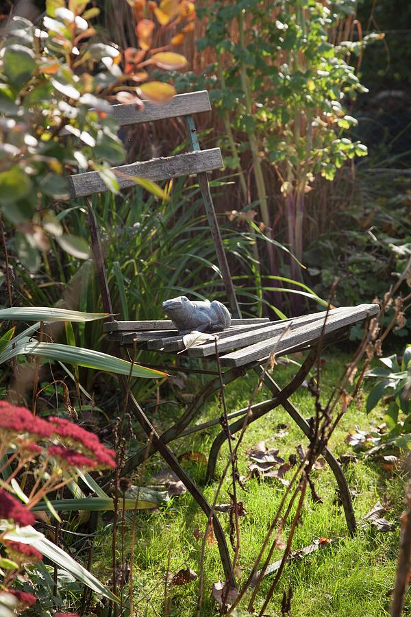 Broken Folding Chair In Autumnal Garden Photograph by Sibylle Pietrek