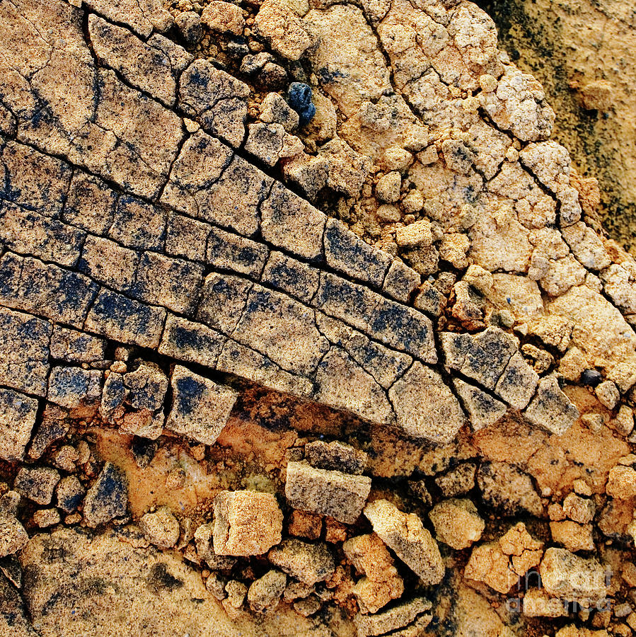 Broken Sandstone II - Organic Patterns and Textures by Charmian Vistaunet Broken Sandstone II - Organic Patterns and Textures by Charmian Vistaunet