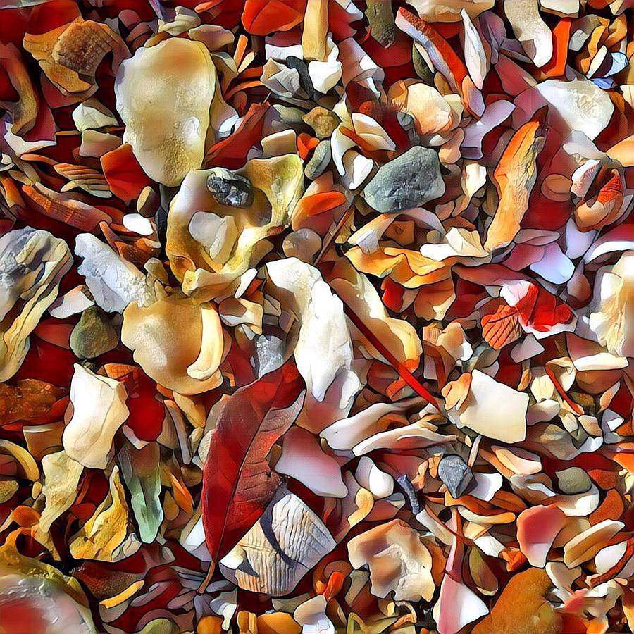 Broken Seashell Abstract  Photograph by Jerry Abbott