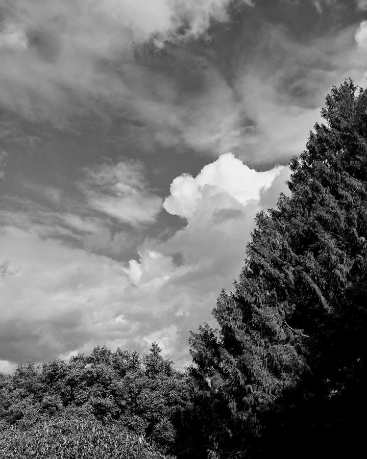 Sky Photograph - Broken Sky by Darrell MacIver Sky Photograph - Broken Sky by Darrell MacIver