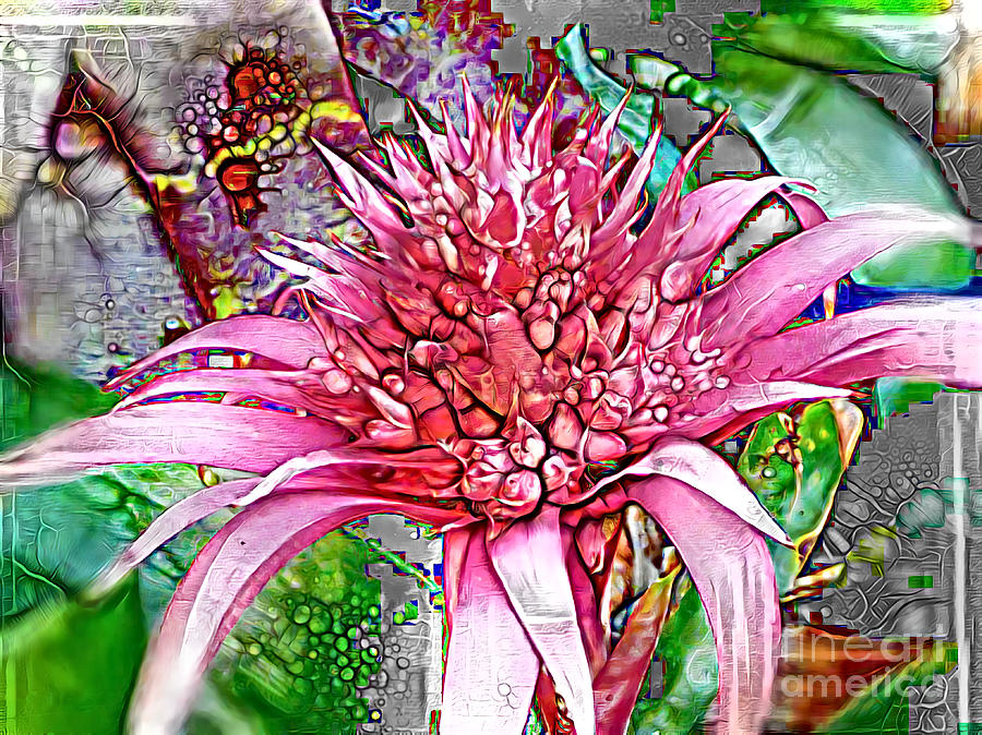Bromeliad Revisited Mixed Media by Trudee Hunter Bromeliad Revisited Mixed Media by Trudee Hunter